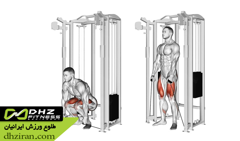 ددلیفت با سیم کش (Cable Deadlift): 